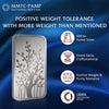 MMTC Banyan Tree